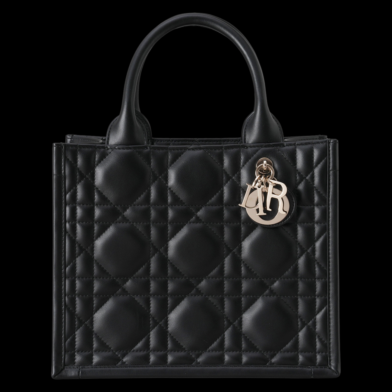 CHRISTIAN DIOR(USED)디올 북토트 스몰 매크로 까나쥬